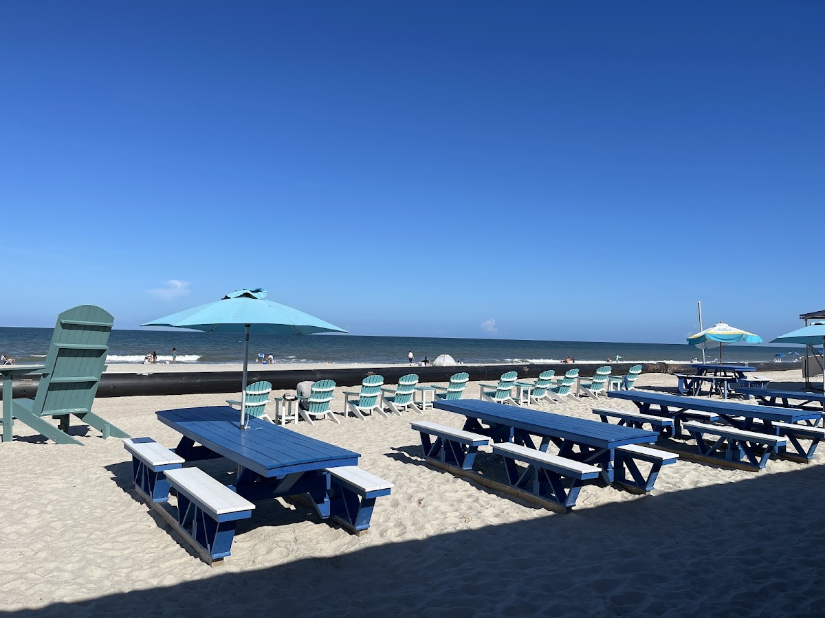 Sandbar Amelia Island Photo 3