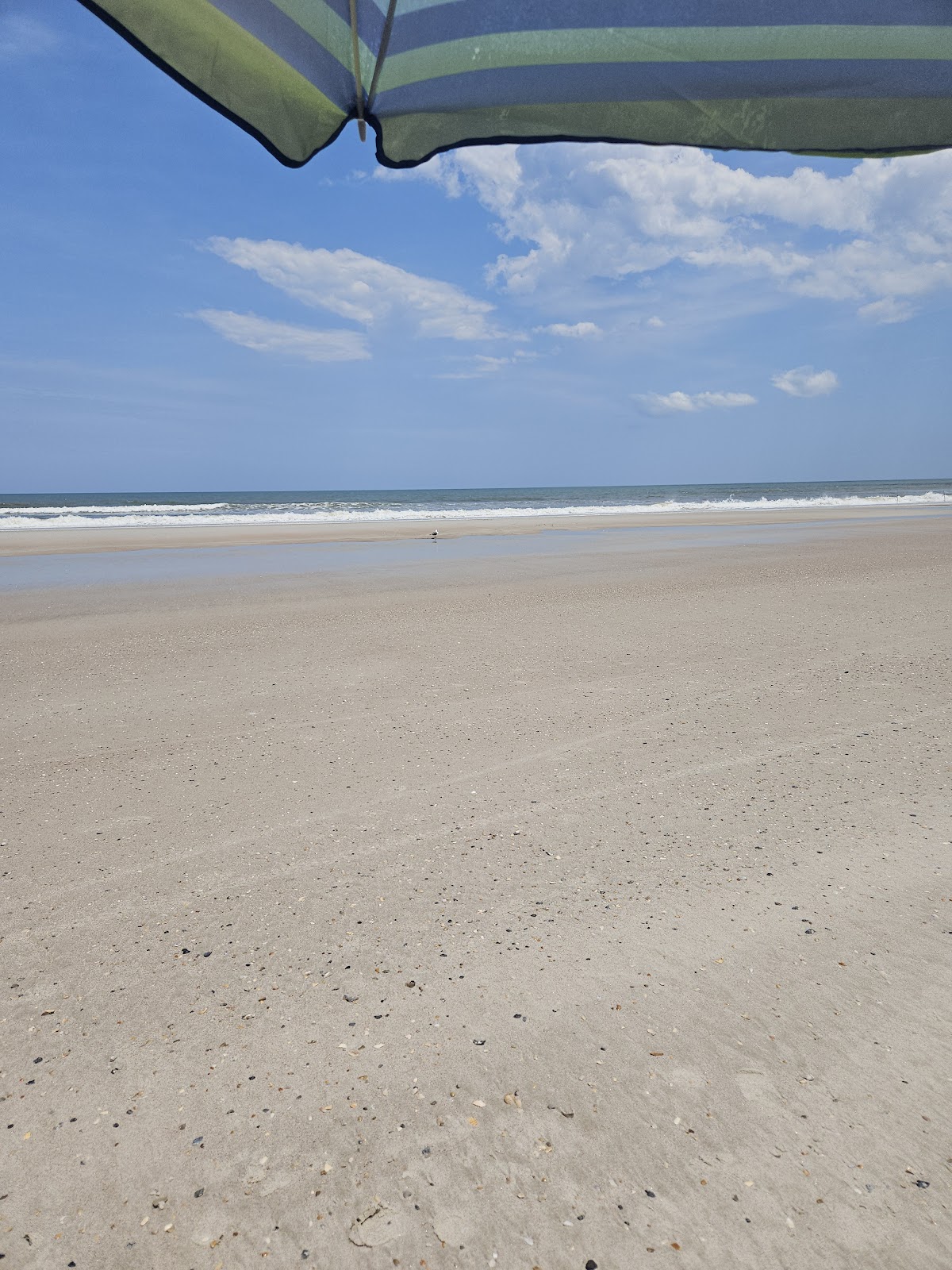 American Beach Photo 4