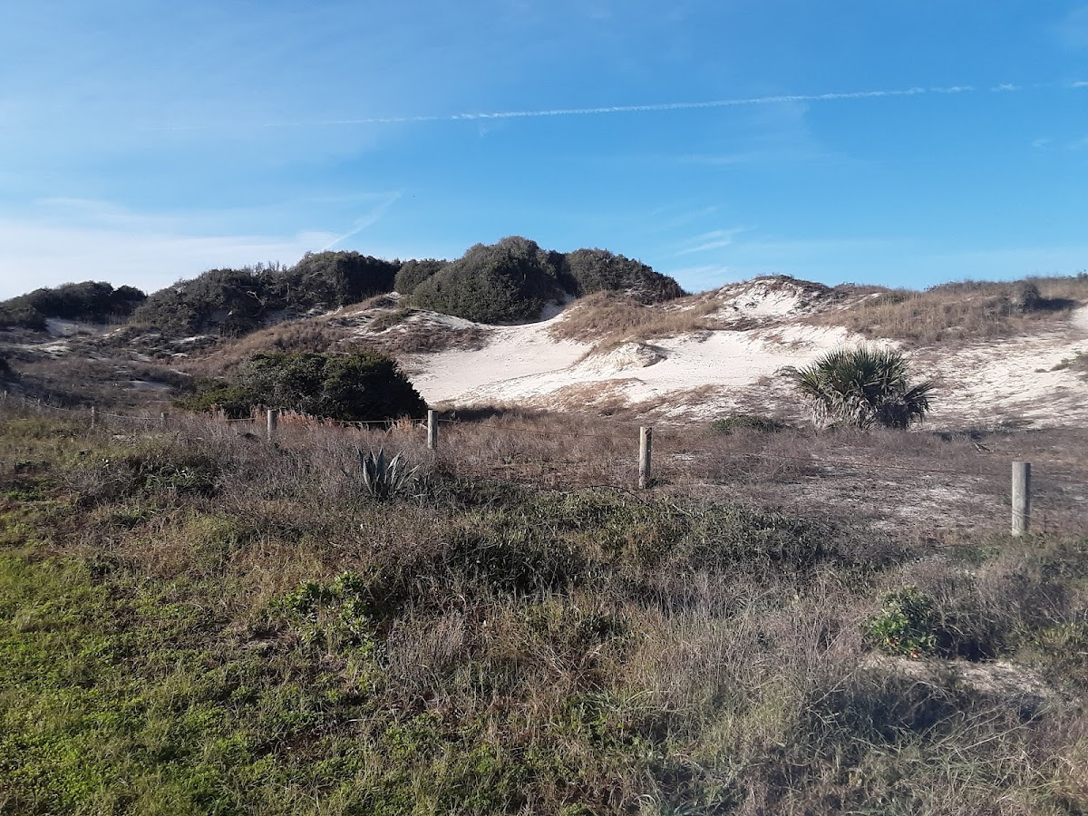 American Beach Photo 5