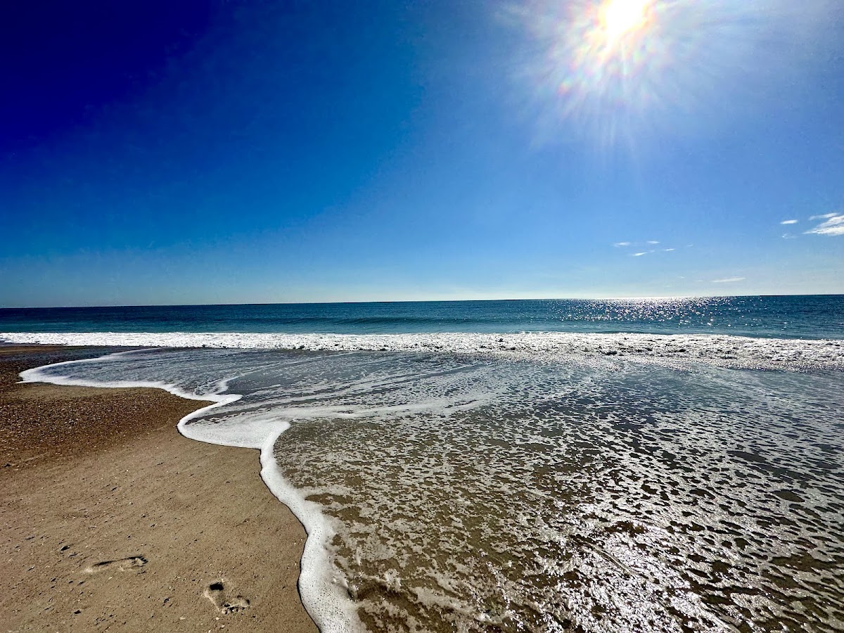 American Beach Photo 6