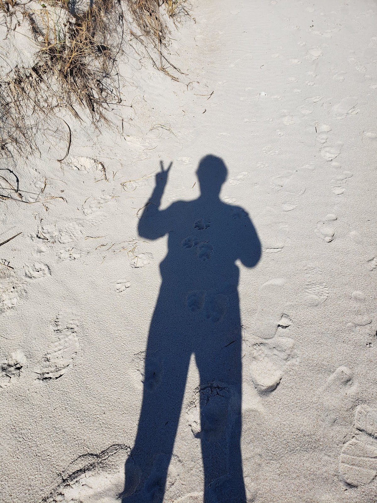 Beach Access 10S Photo 5