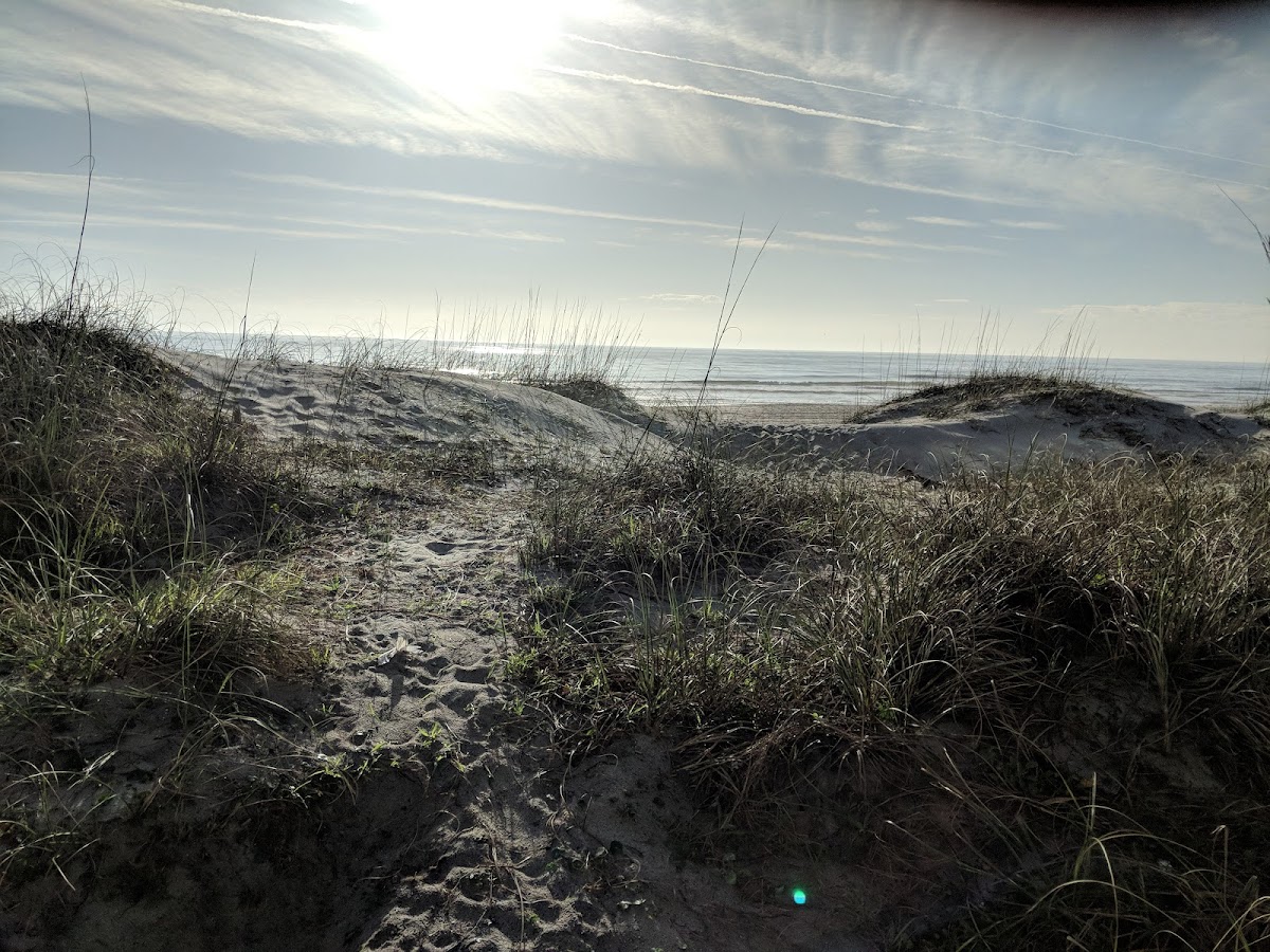 Beach Access 11 Photo 1