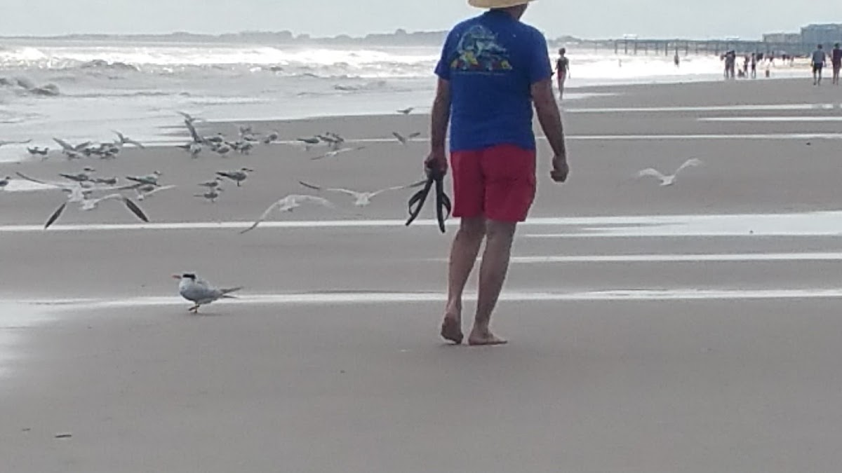 Beach Access 16 Photo 3