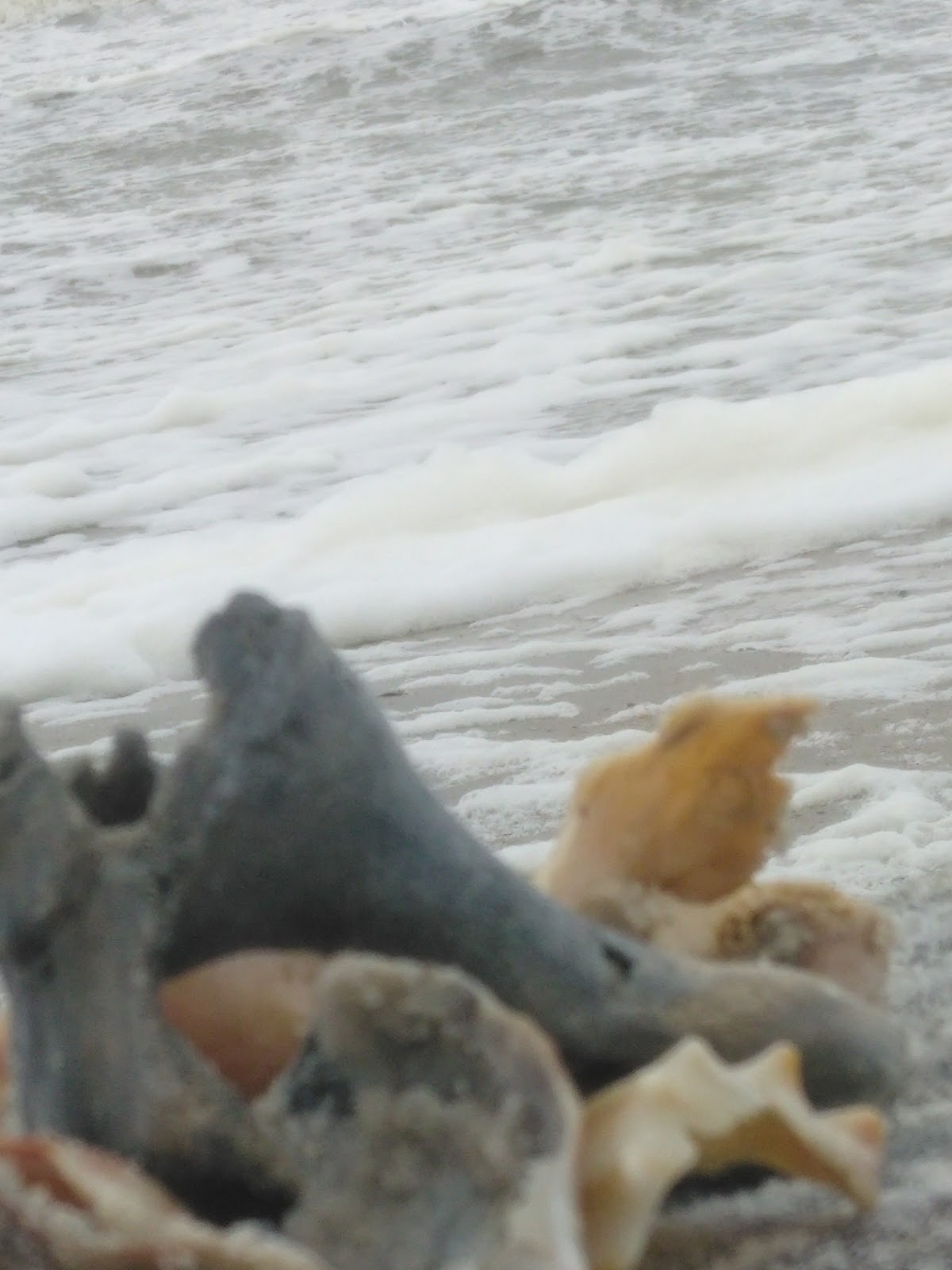 Beach Access #1 (Nassau Access) Photo 8