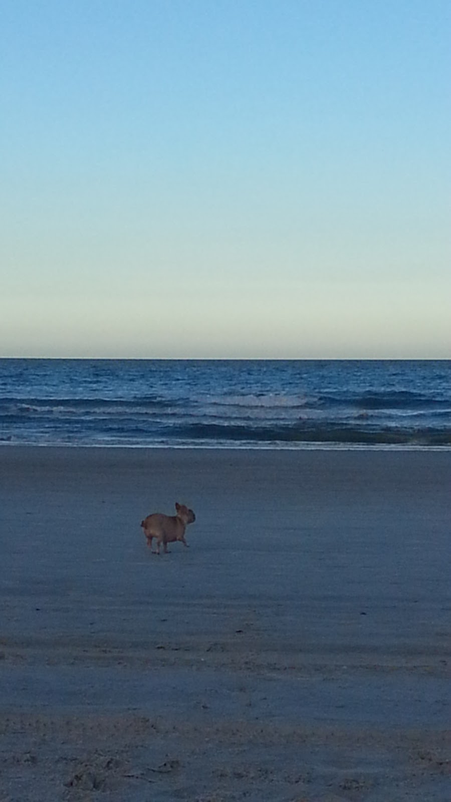 Beach Access 24 Photo 7