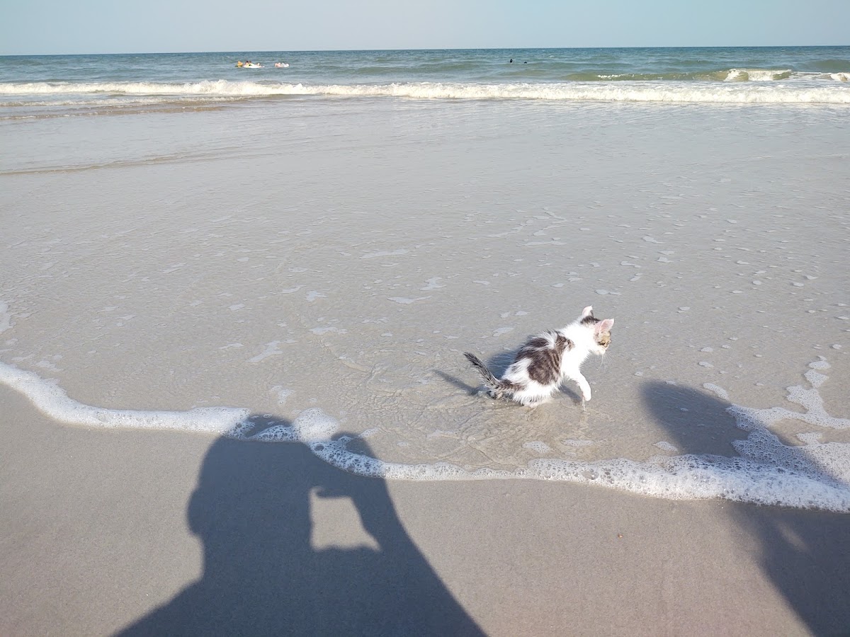 Beach Access 25 Photo 6