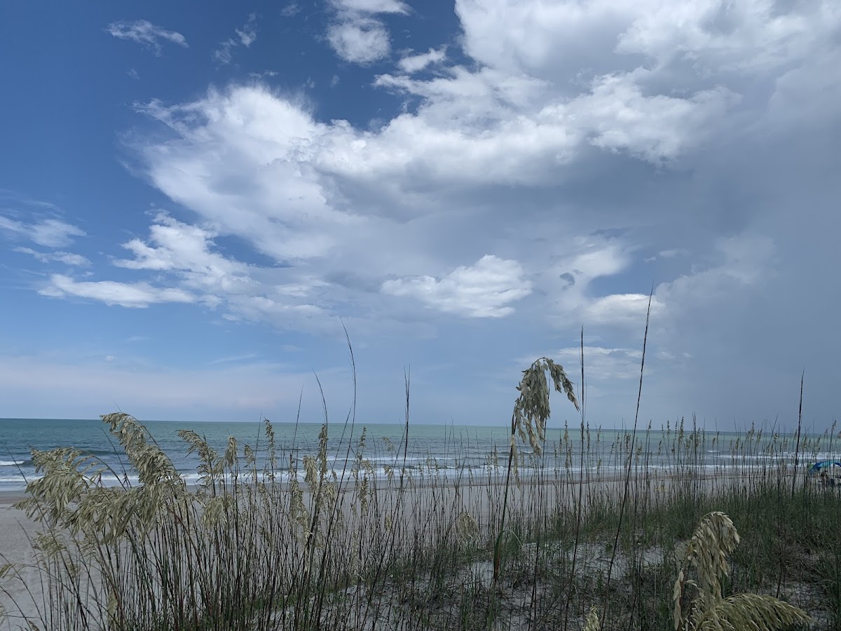 Beach Access 27 Photo 5