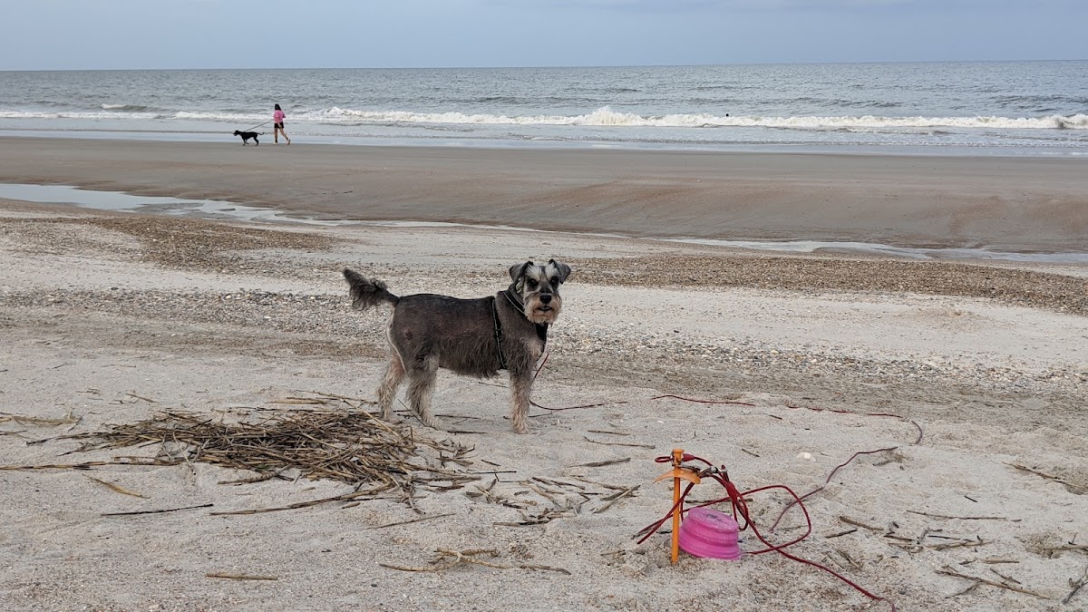 Beach Access 27 Photo 6