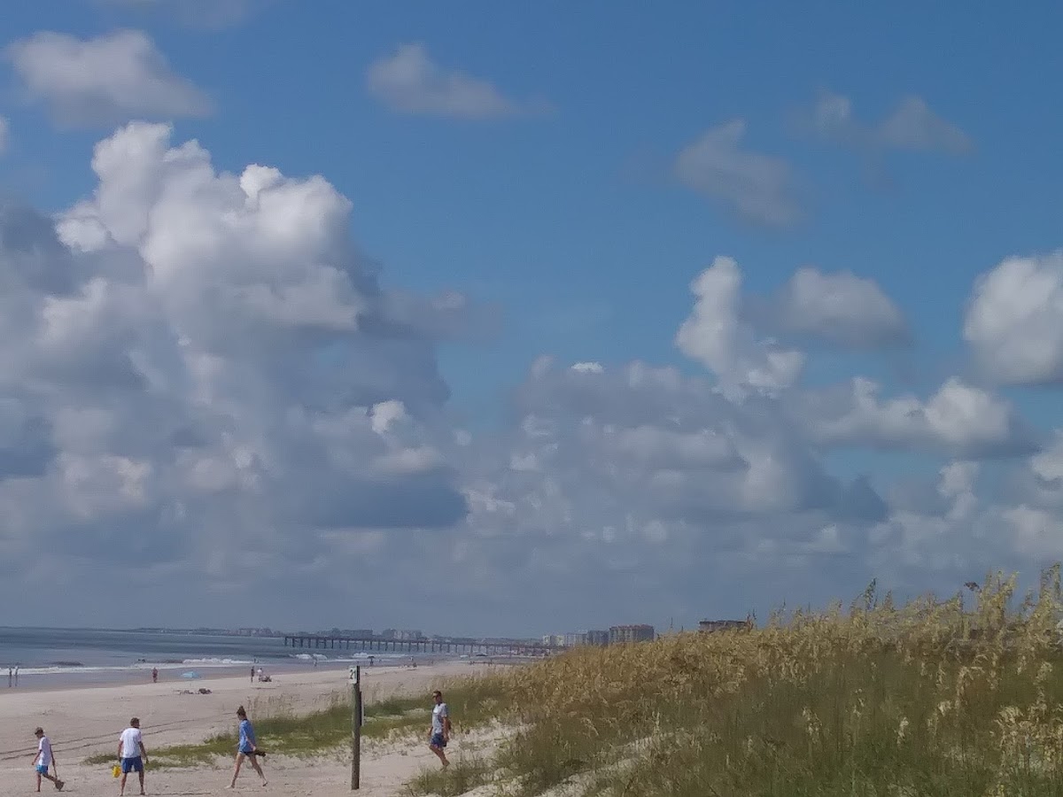 Beach Access #2 (Amelia Access)