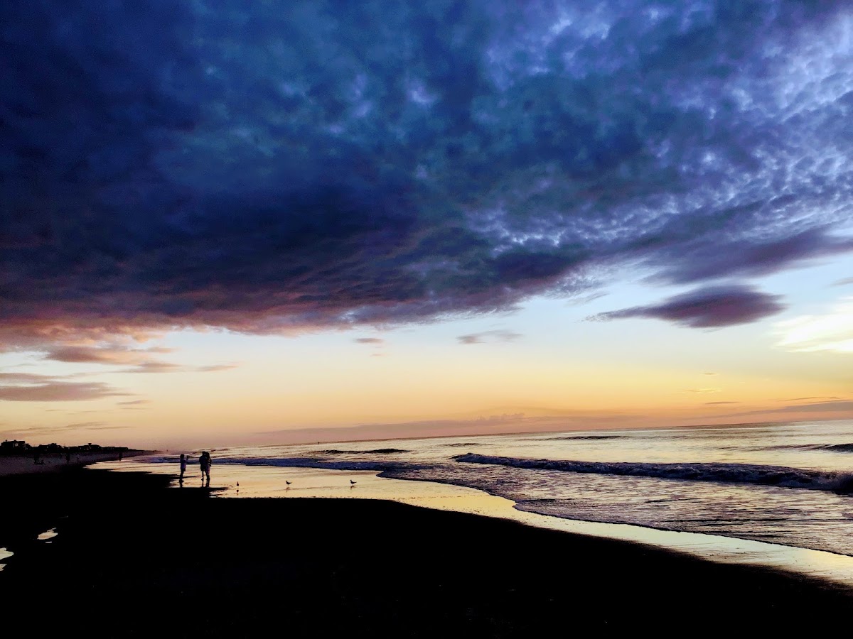 Beach Access #2 (Amelia Access) Photo 2