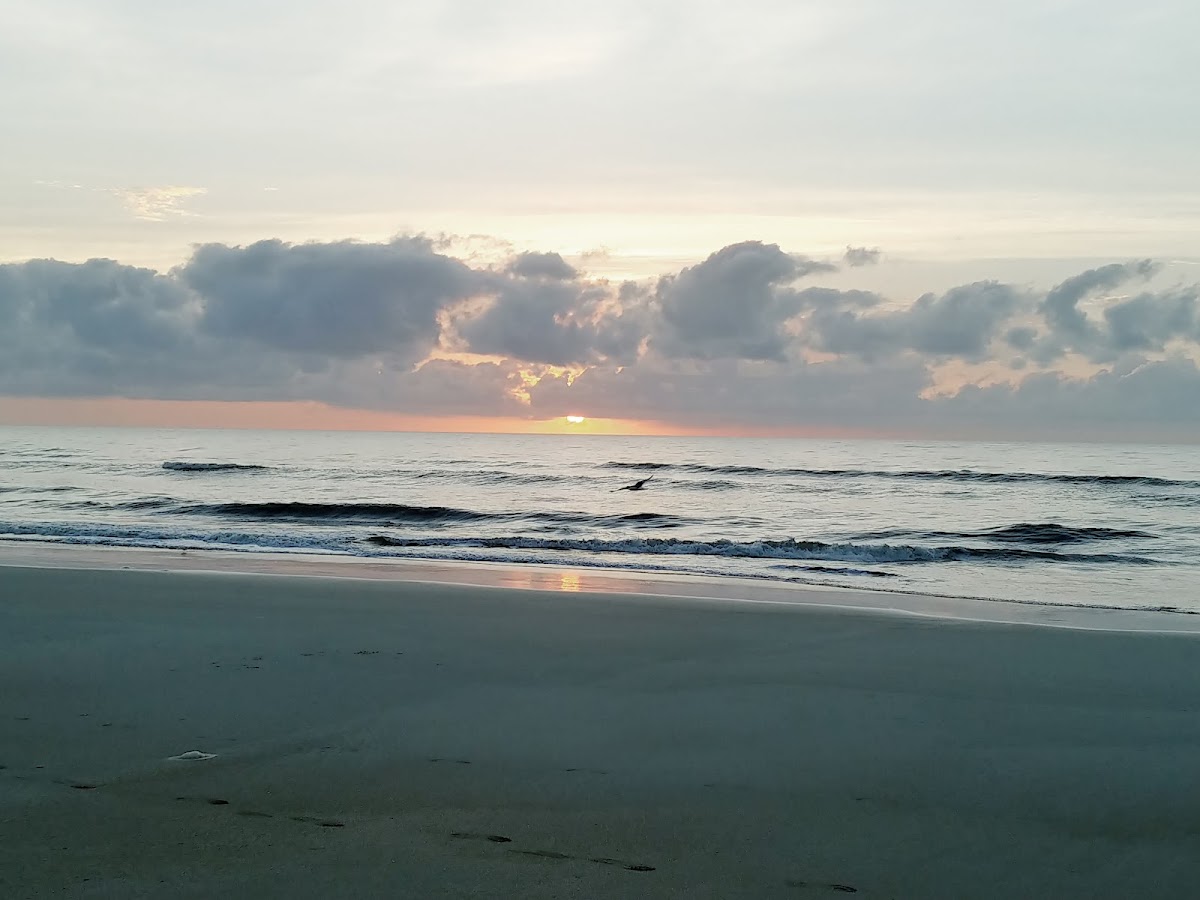 Beach Access 34 Photo 3