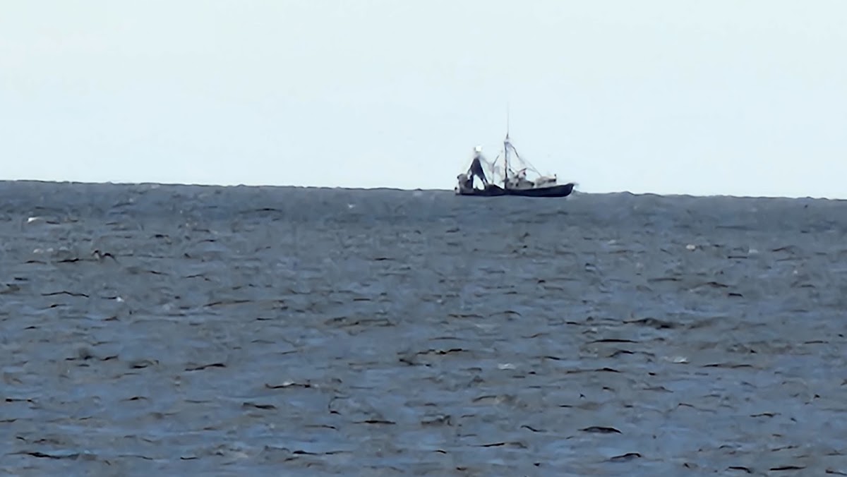 Beach Access 34 Photo 5