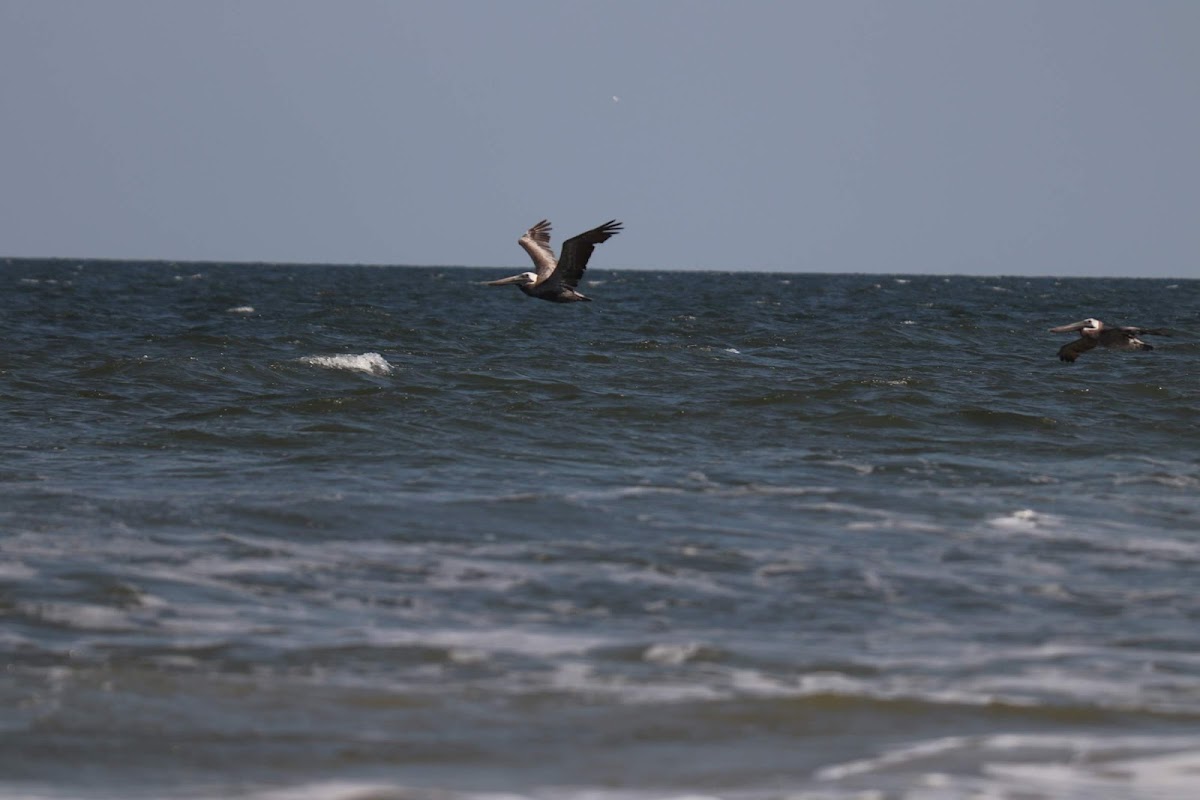 Beach Access 39 Photo 6