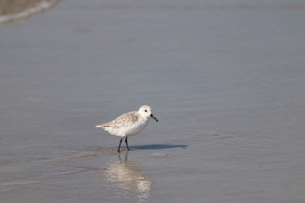 Beach Access 39 Photo 9