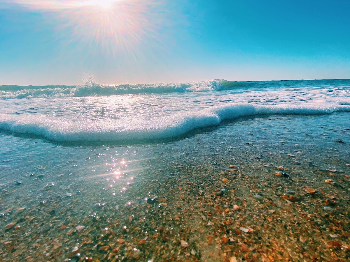 Beach Access 9 Photo 8