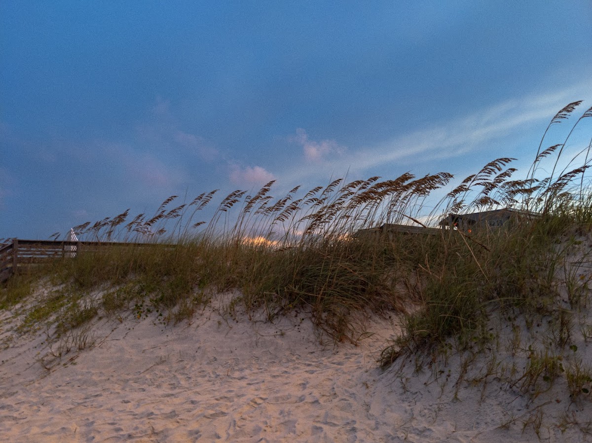Beach Parking Photo 4