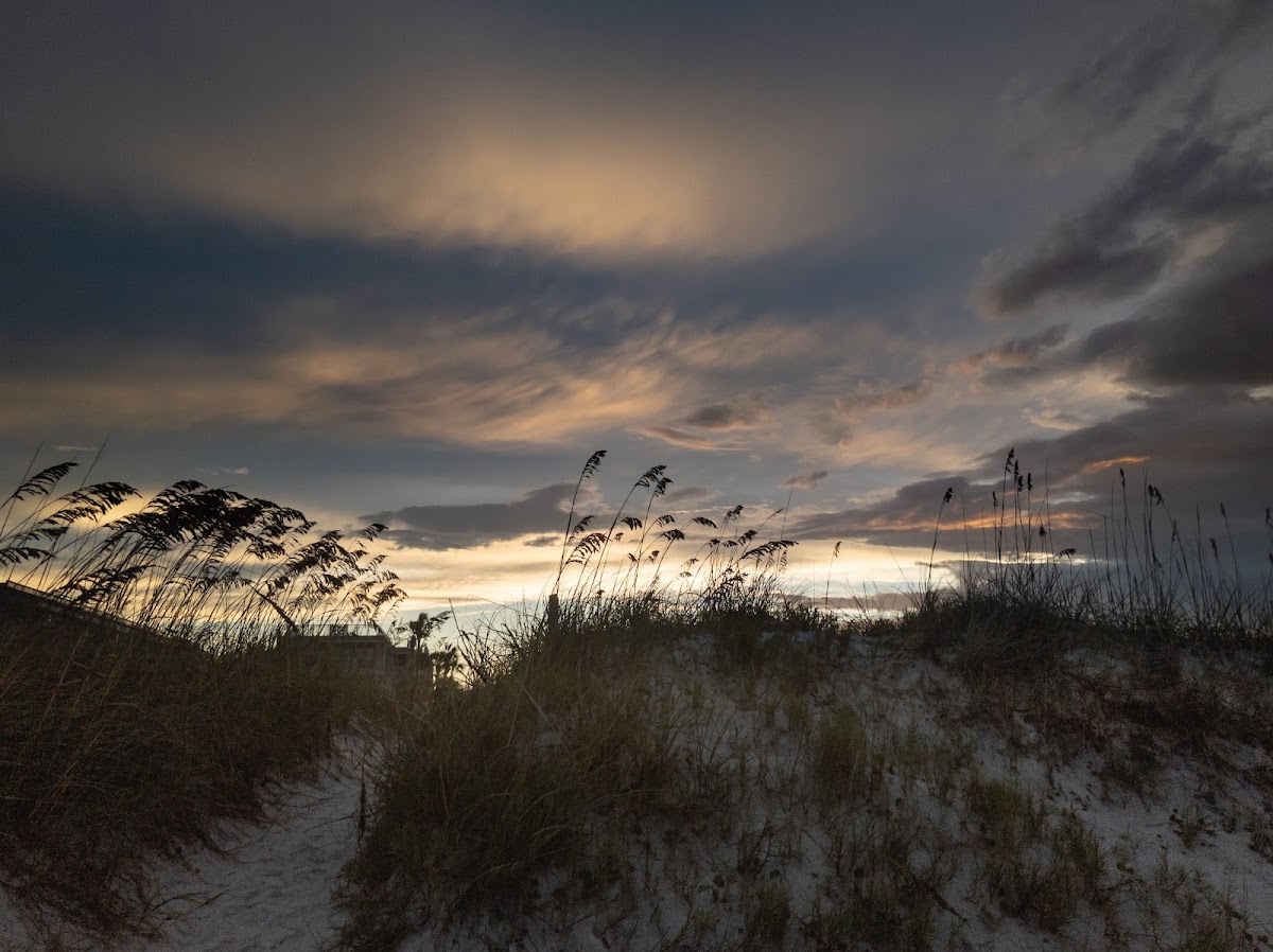 Beach Parking Photo 6