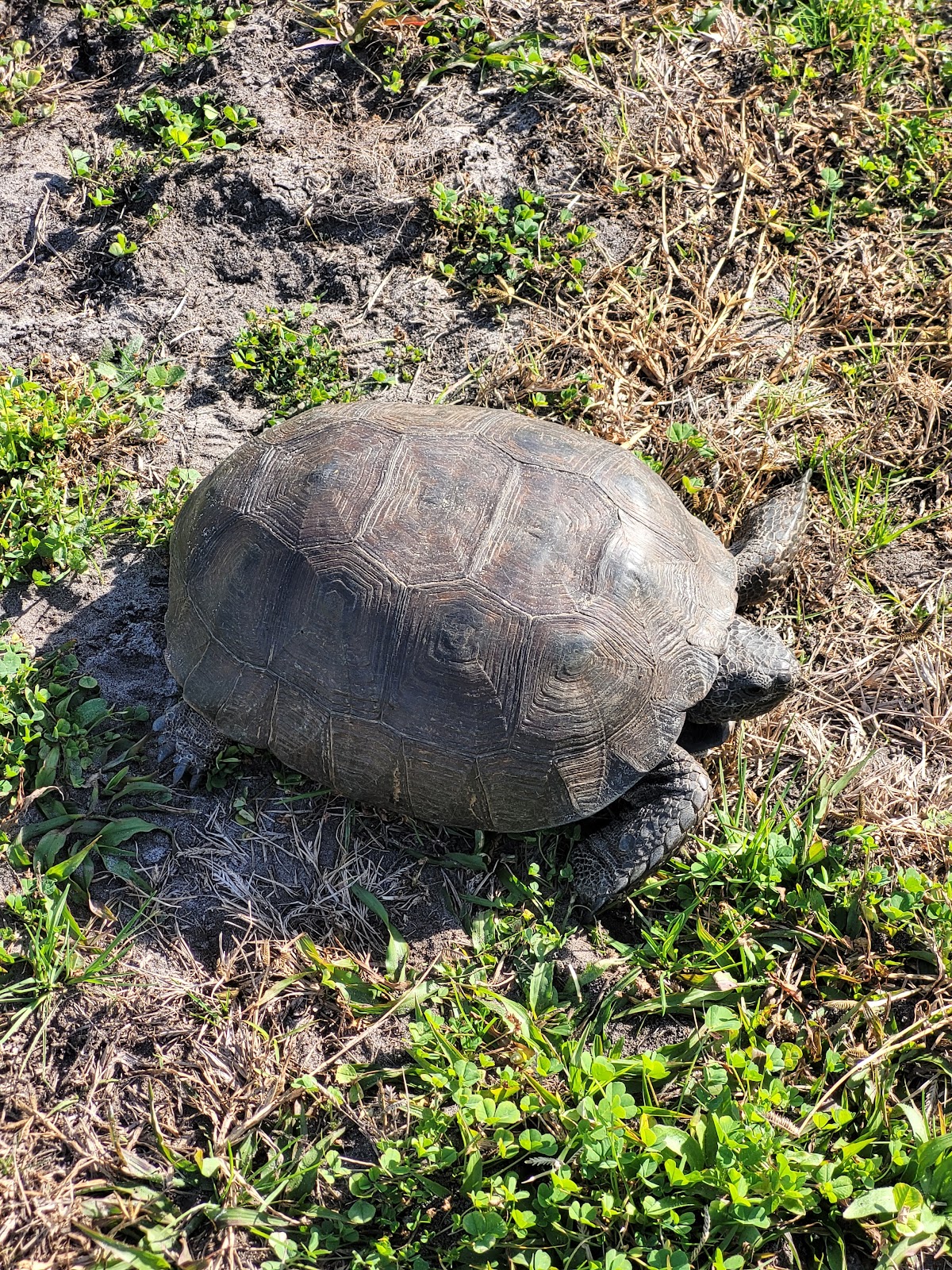 Peters Point Beachfront Park Photo 7