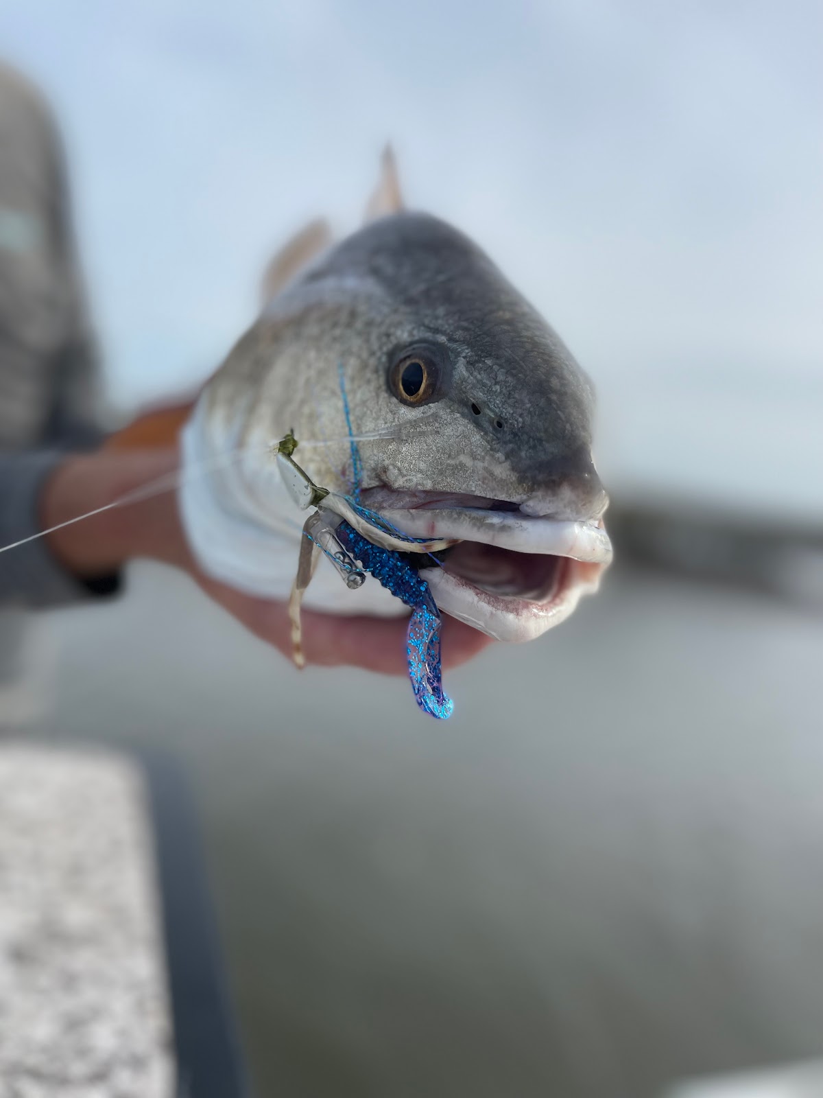 Amelia Backwater Fishing Co Photo 8