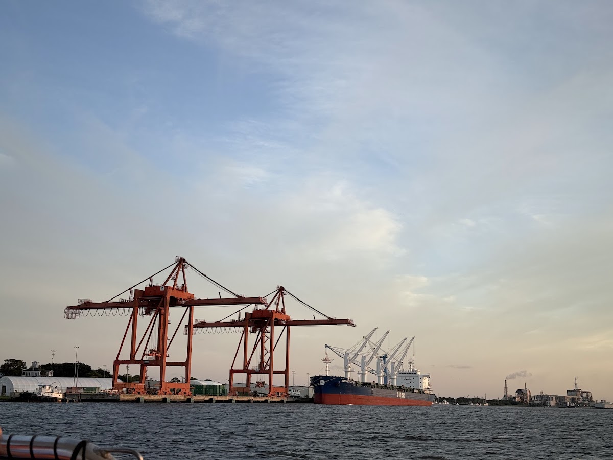 Amelia River Cruises & Charters Photo 8