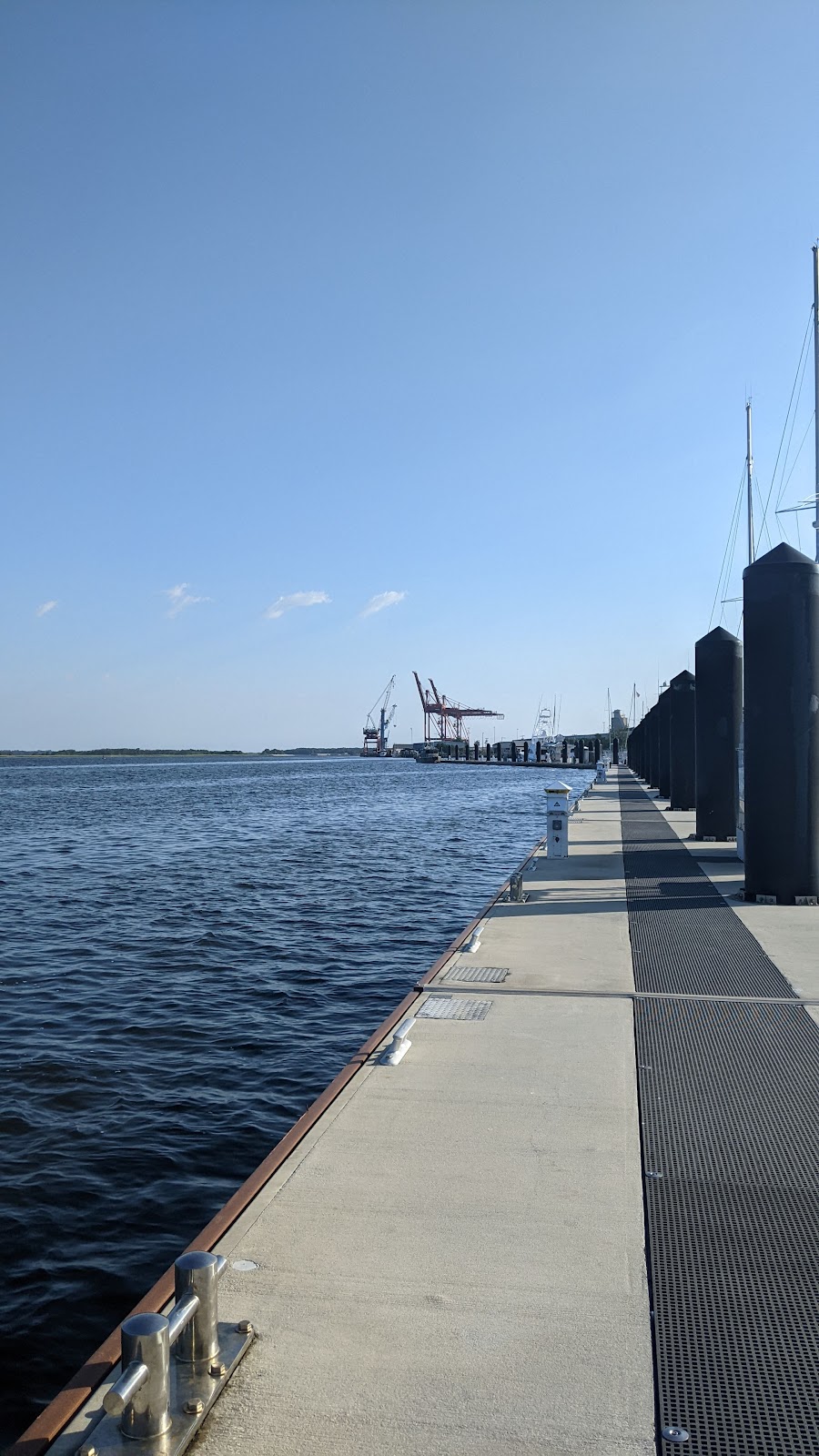 Anchors Aweigh Charters, Inc. Photo 2