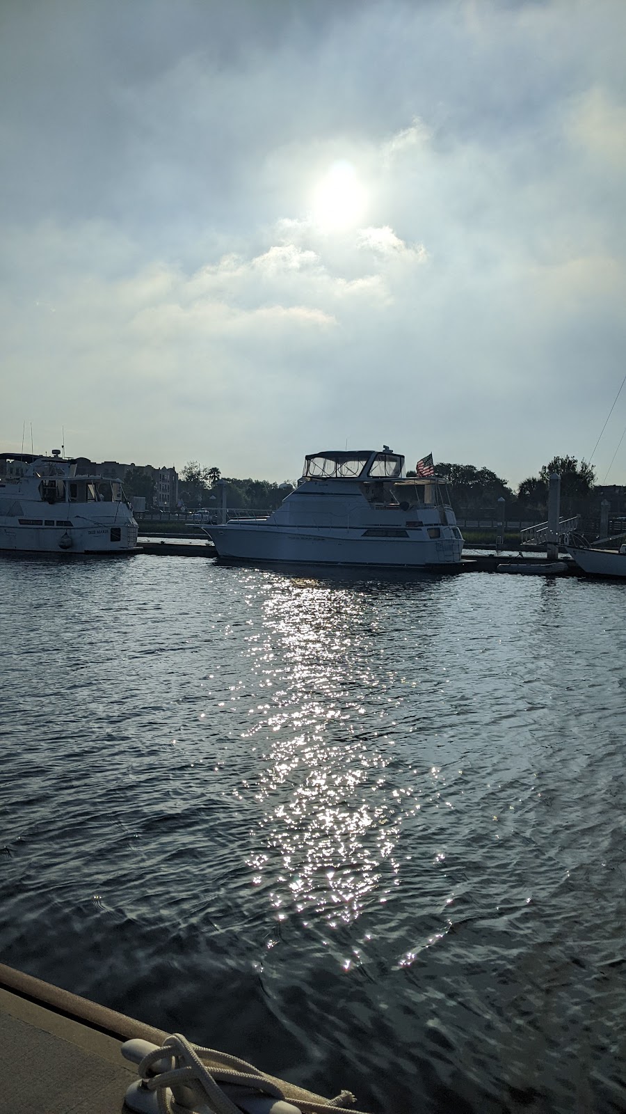 Anchors Aweigh Charters, Inc. Photo 8