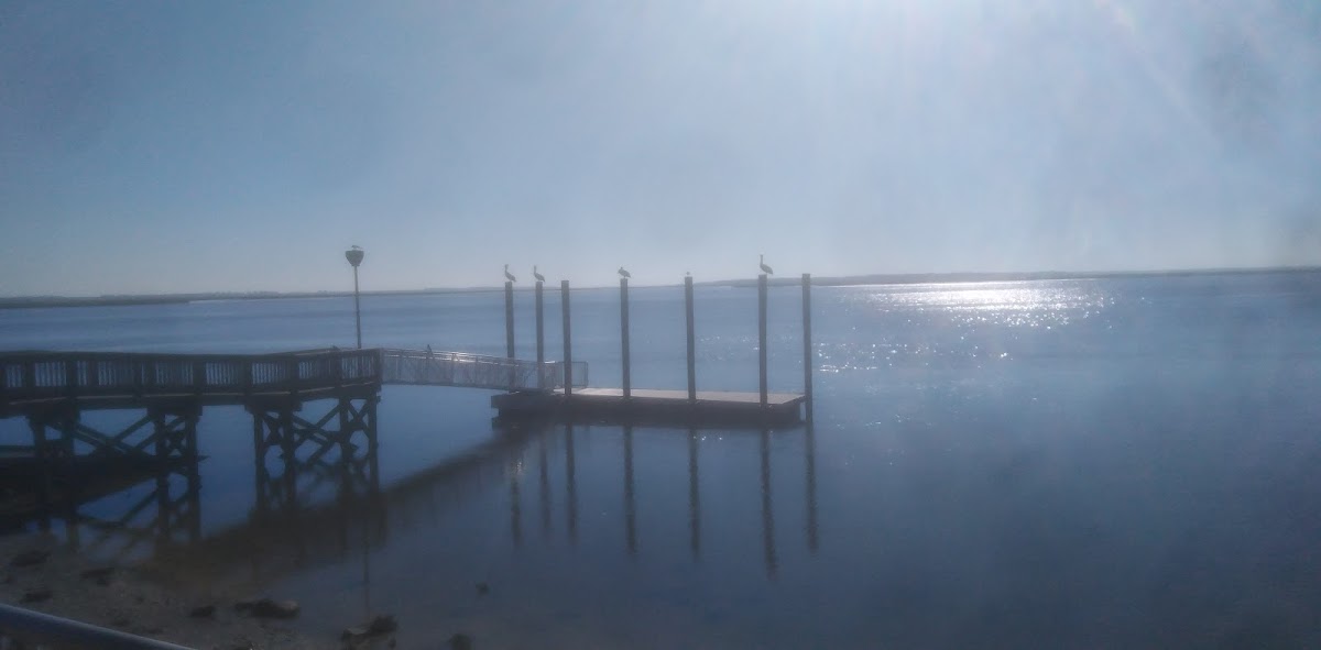 Goffinsville Nassau River Park Photo 4