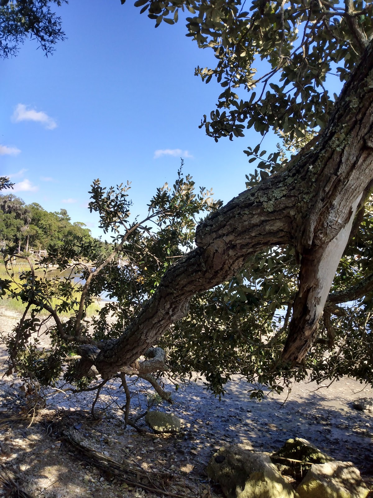 Goffinsville Nassau River Park Photo 5