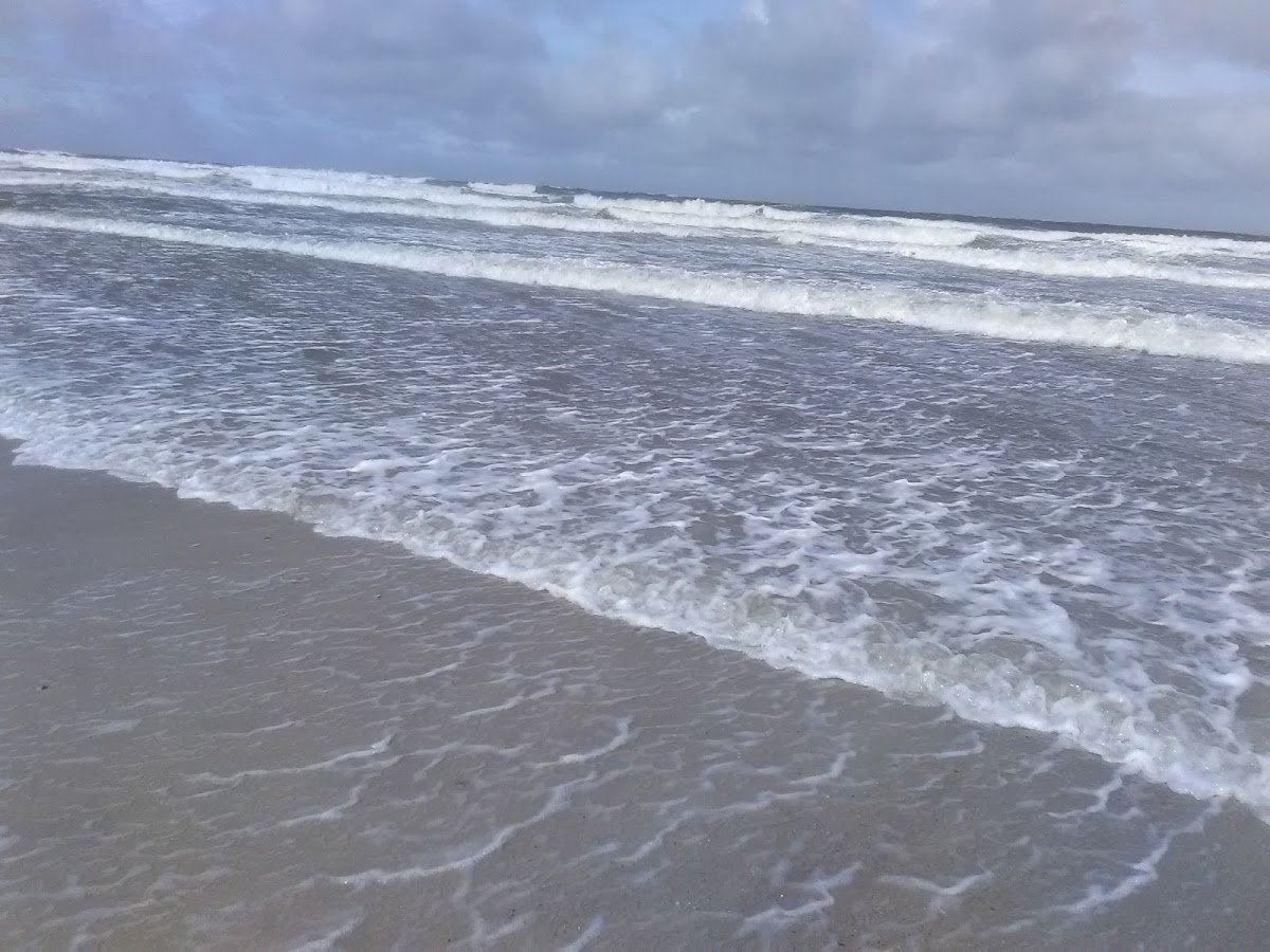 The Amelia Island Club at Long Point Photo 3