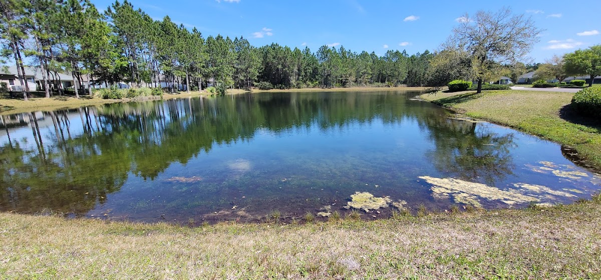 The Golf Club at North Hampton Photo 8