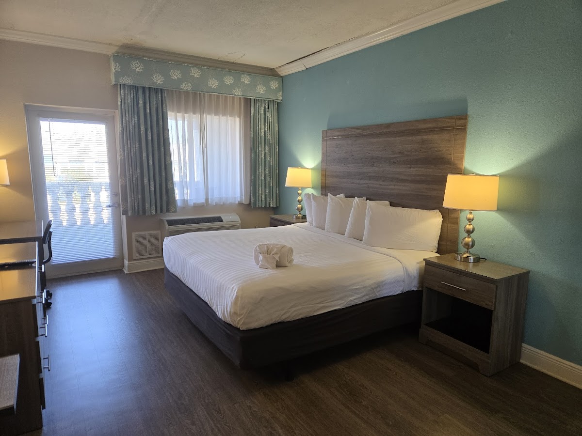 Amelia Hotel at the Beach Photo 4