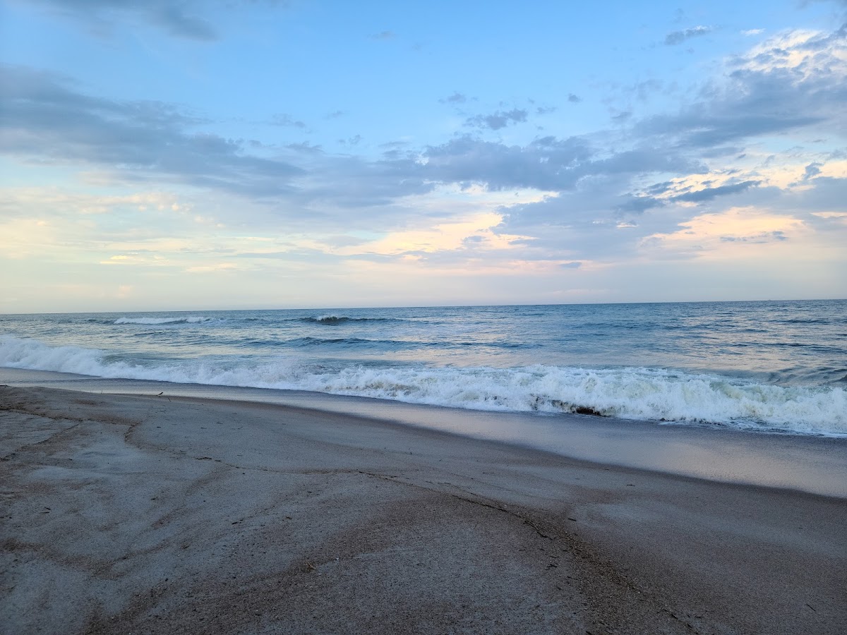 Amelia Hotel at the Beach Photo 7