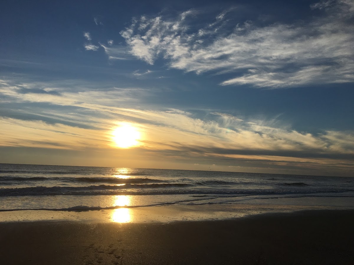 American Beach Photo 0