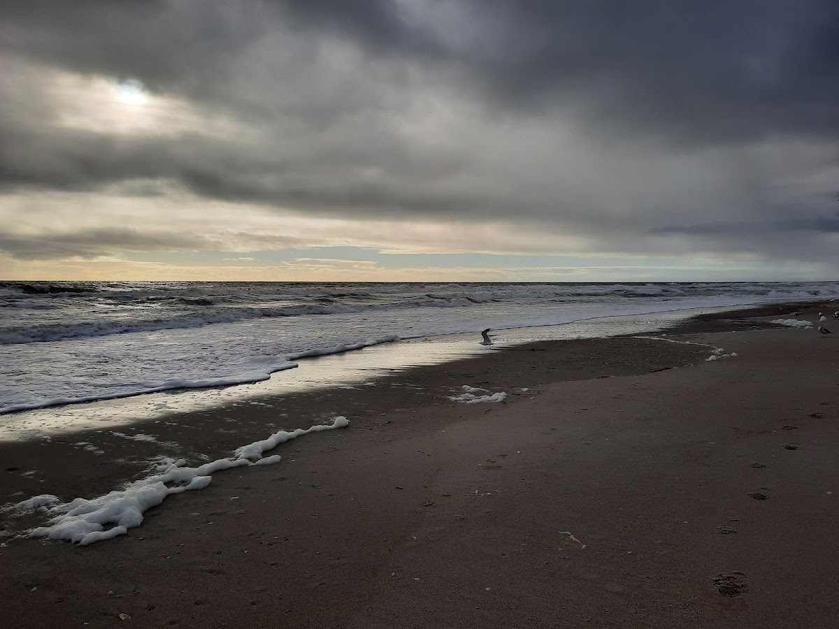 Beach Access 11 Photo 0