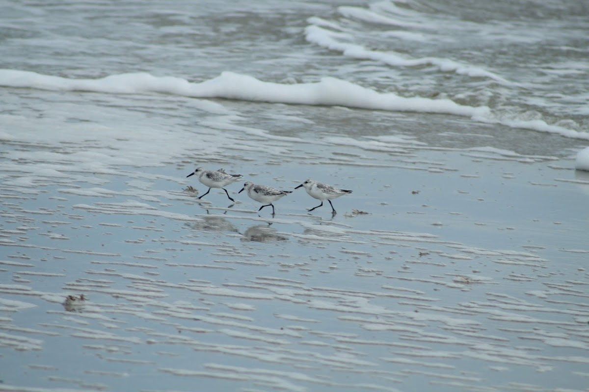 Beach Access 25 Photo 7
