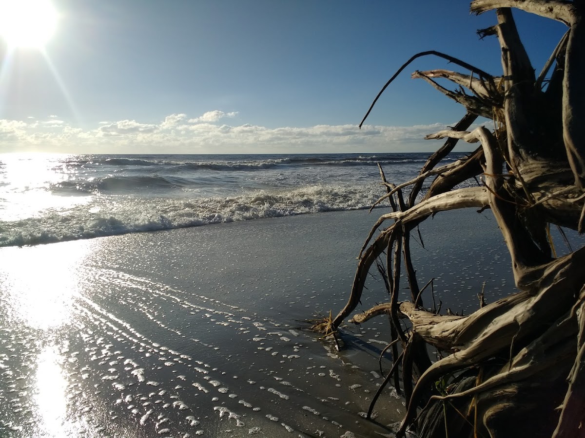 Beach Access 9 Photo 4