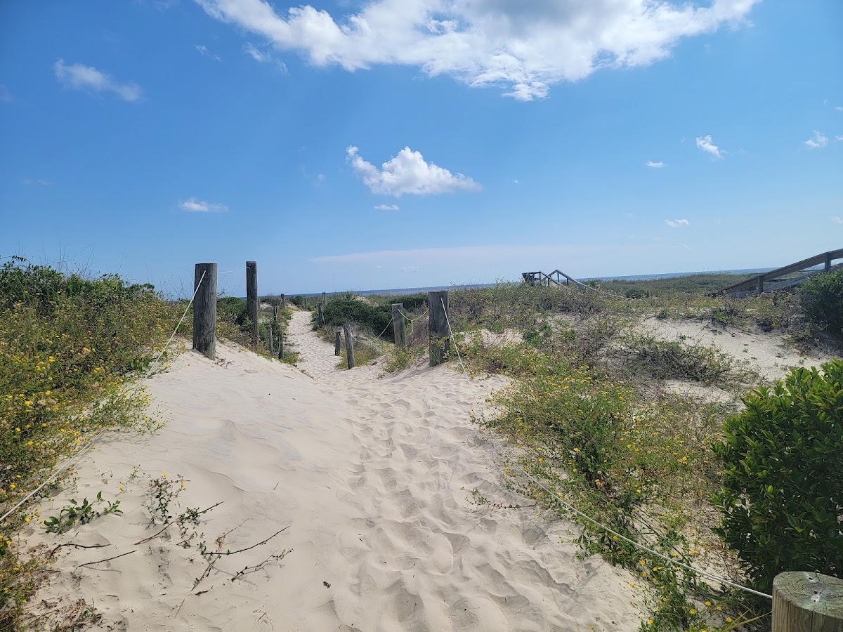 Beach Access Parking Photo 6