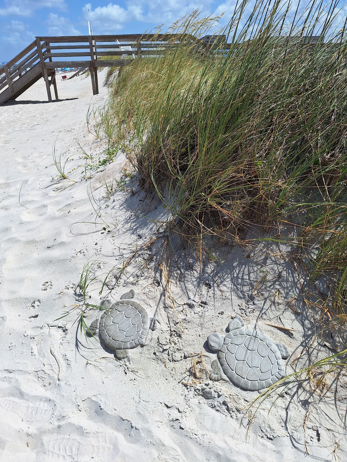 Beach Parking Photo 9