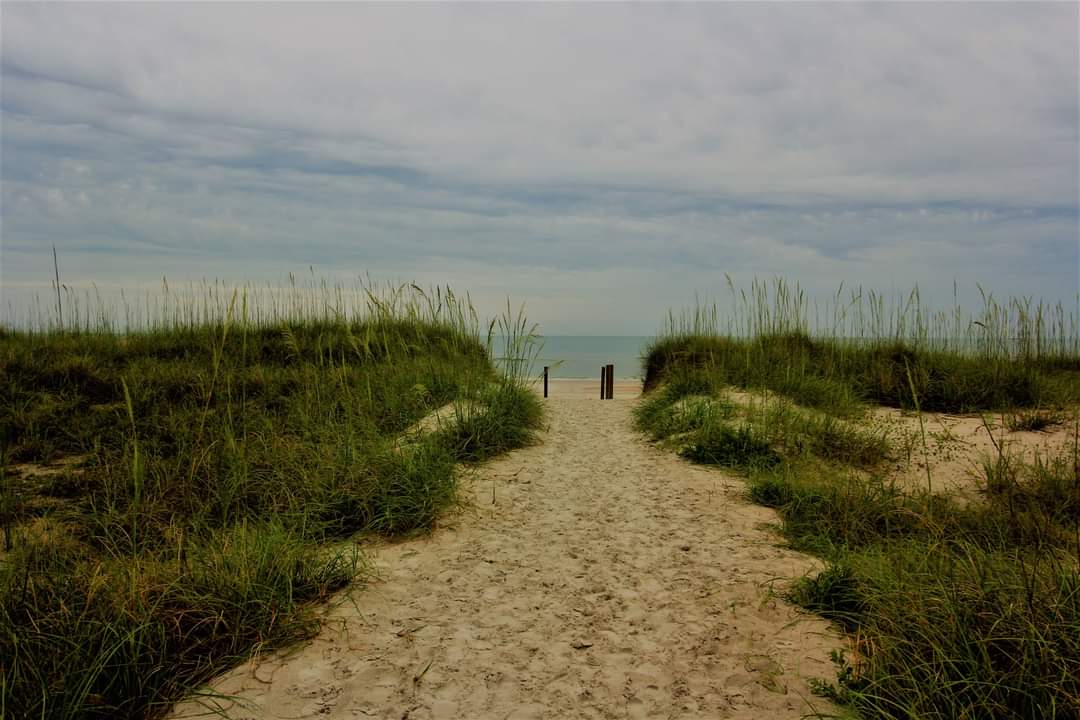 Burney Park Photo 5