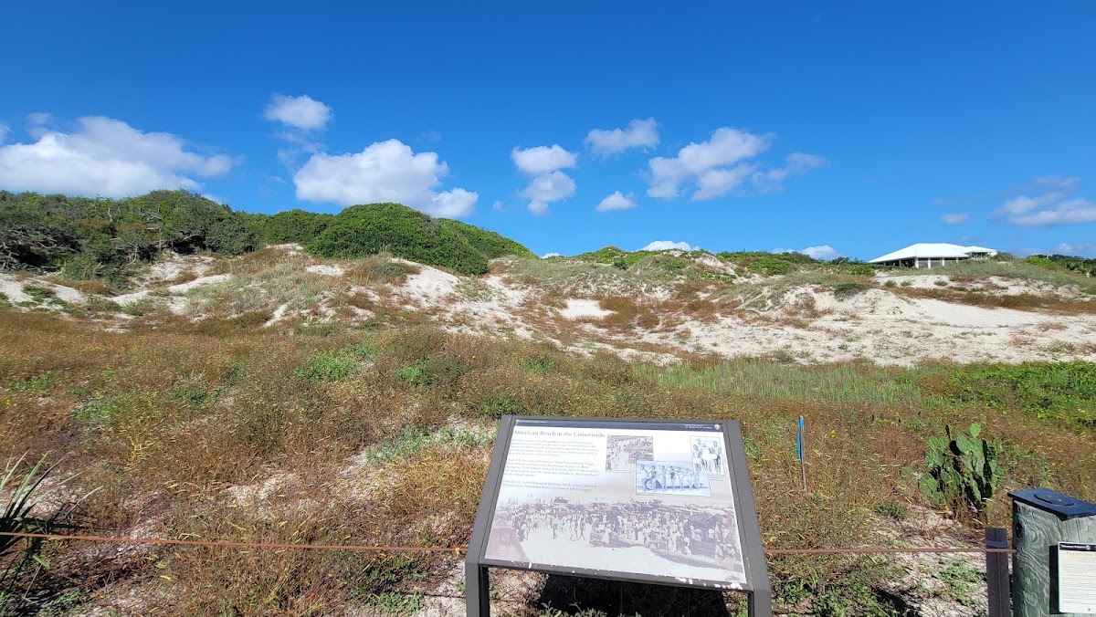 Nana Dune - Tallest in Florida Photo 0