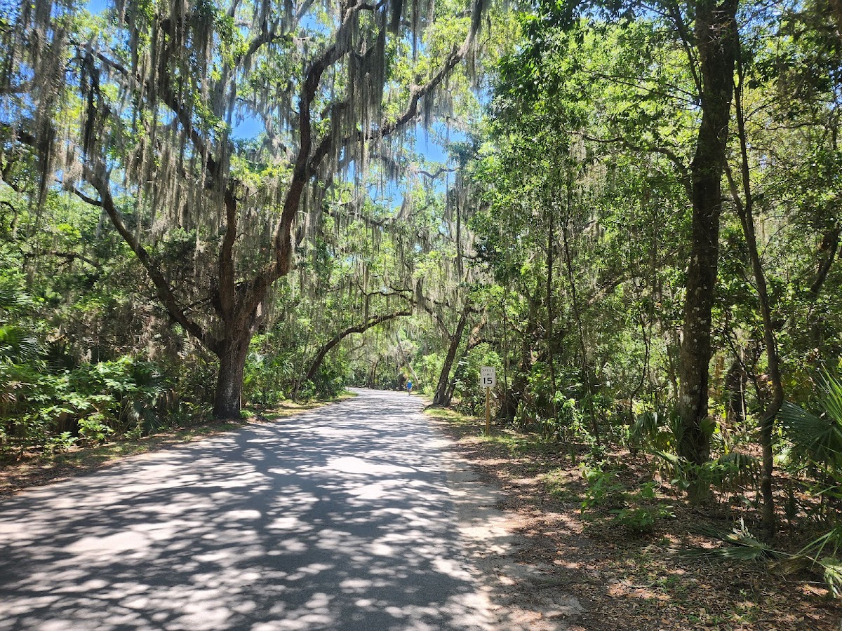 Fort Clinch State Park Photo 8