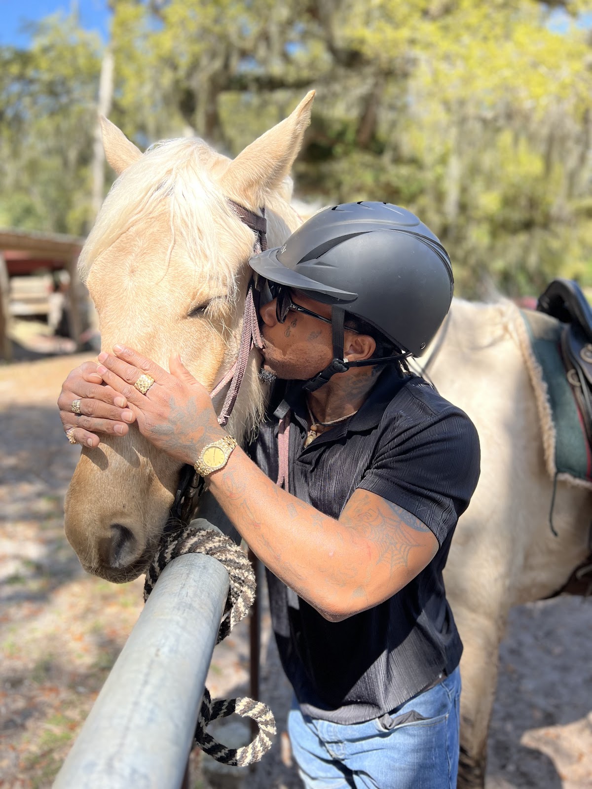 Happy Trails Walking Horses Photo 1