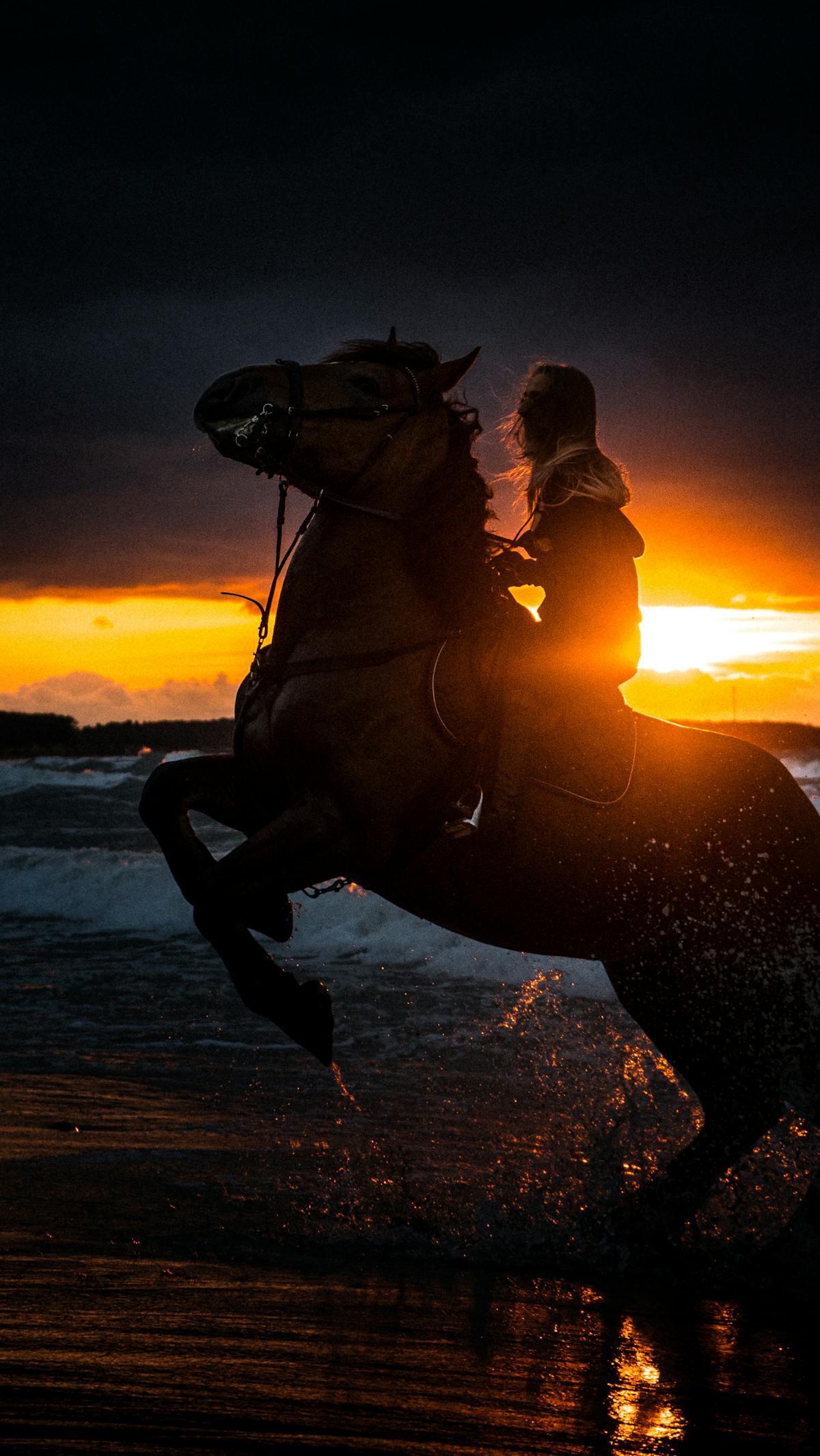 Horseback riding on Amelia Island beach