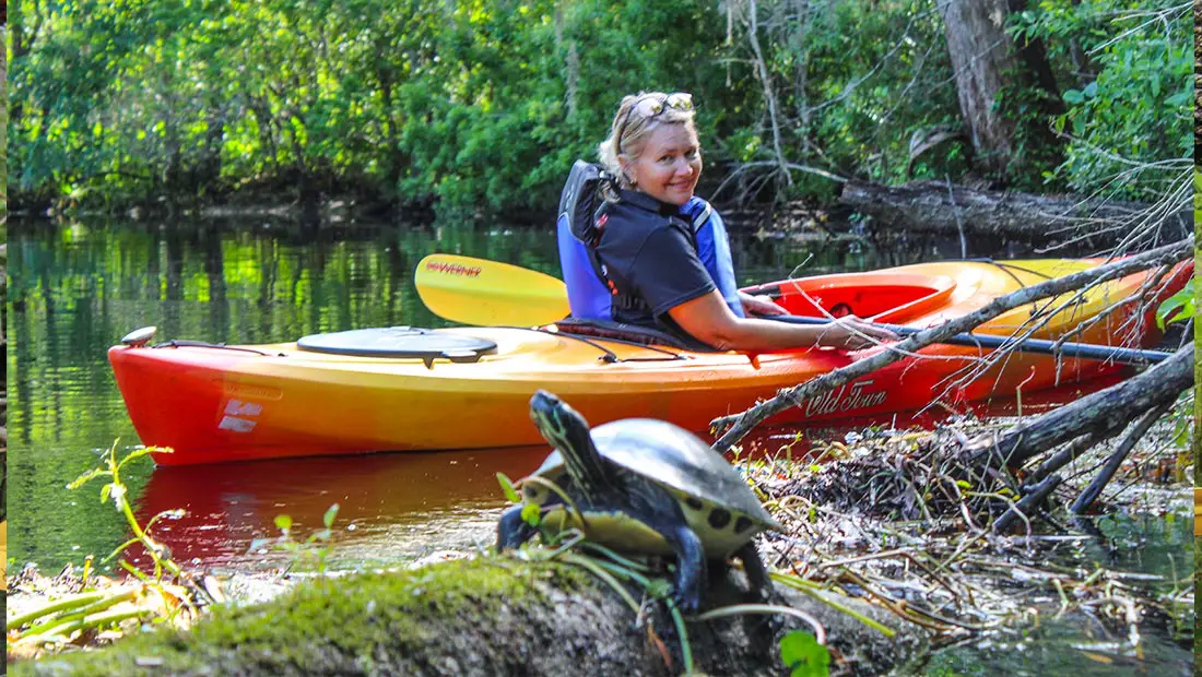 Kayaking on Lofton Creek through cypress trees