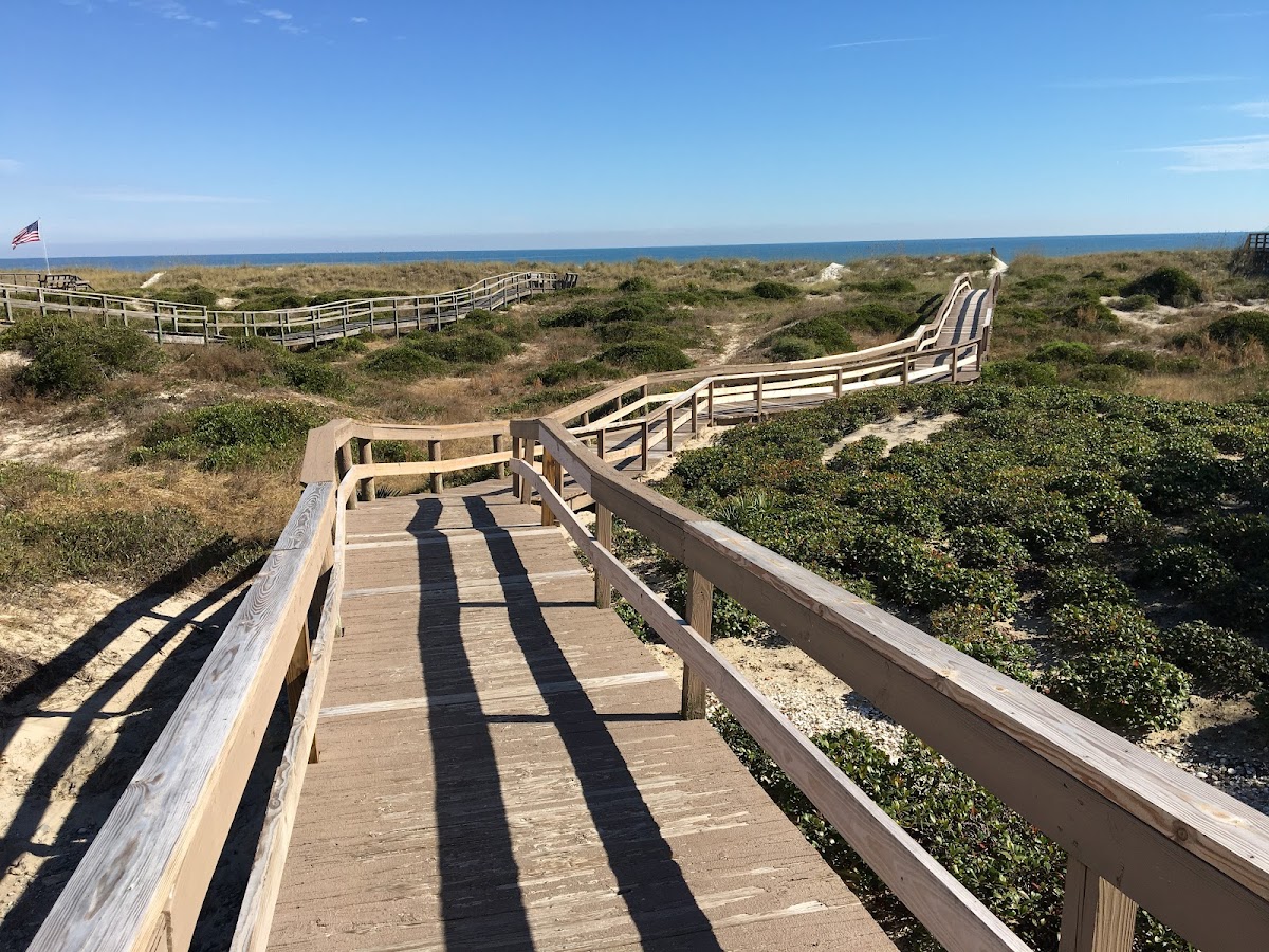 Amelia Island Photo 0