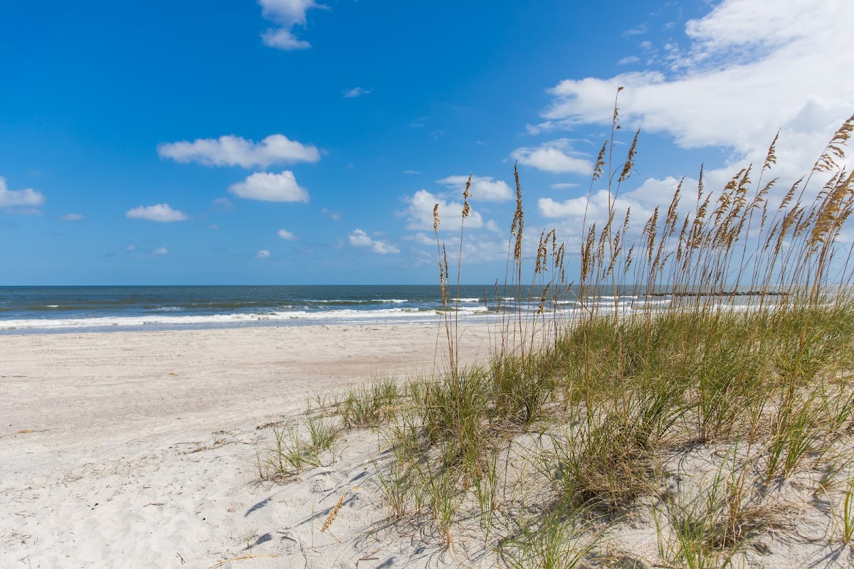 Amelia Island Photo 1