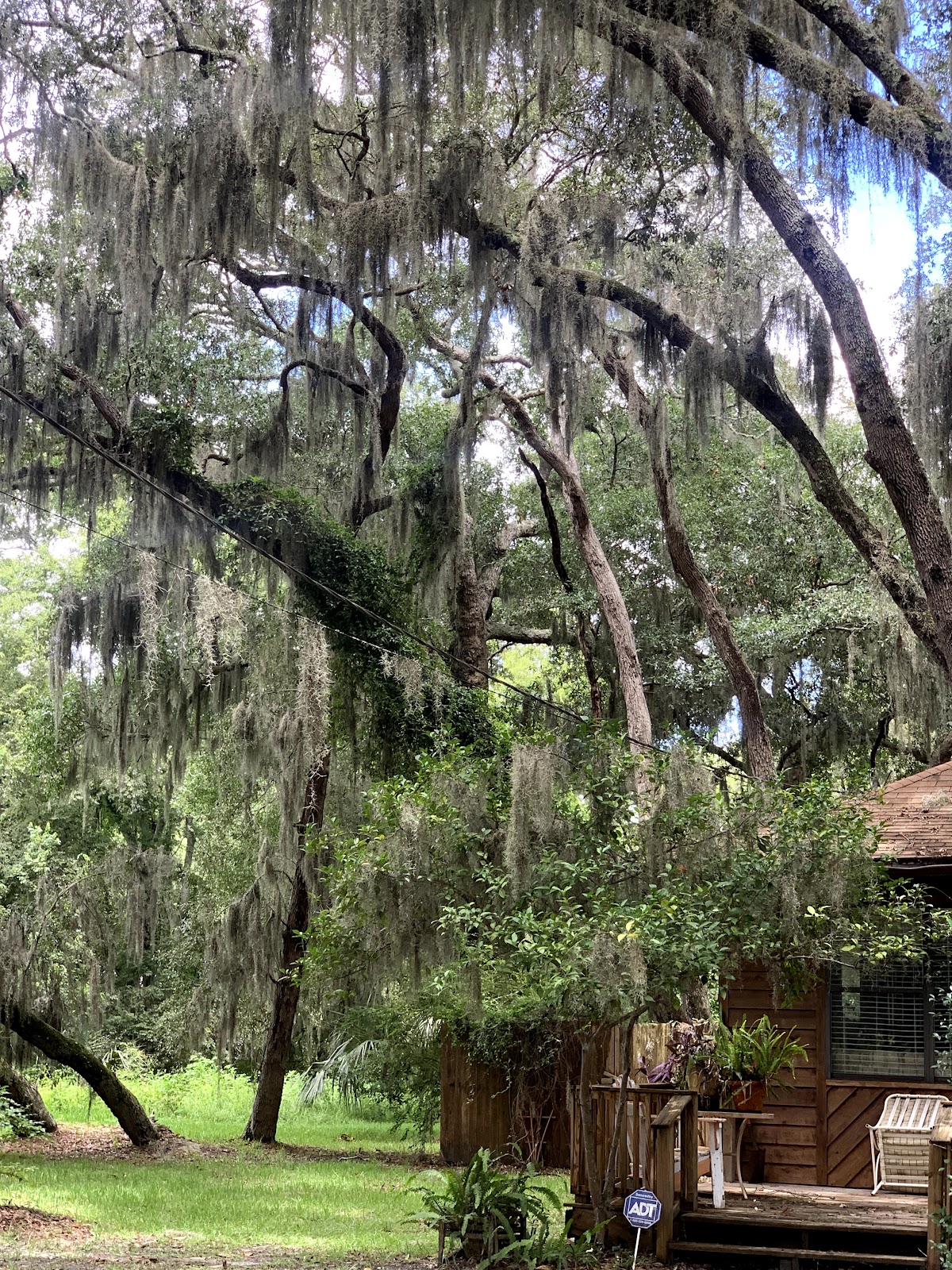 Amelia Island Photo 5