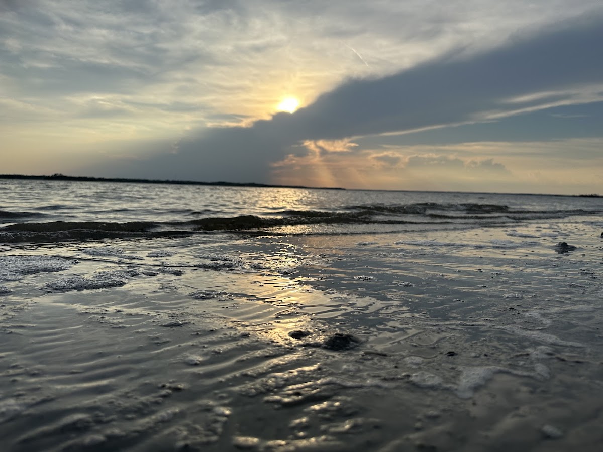 Amelia Island State Park Photo 8