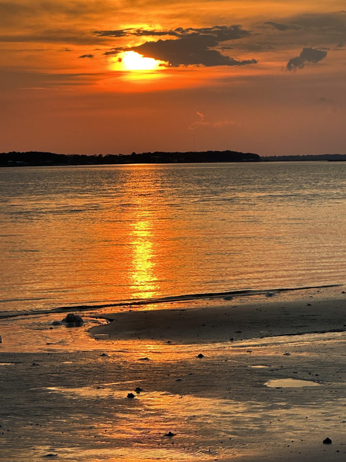 Amelia Island State Park Photo 9