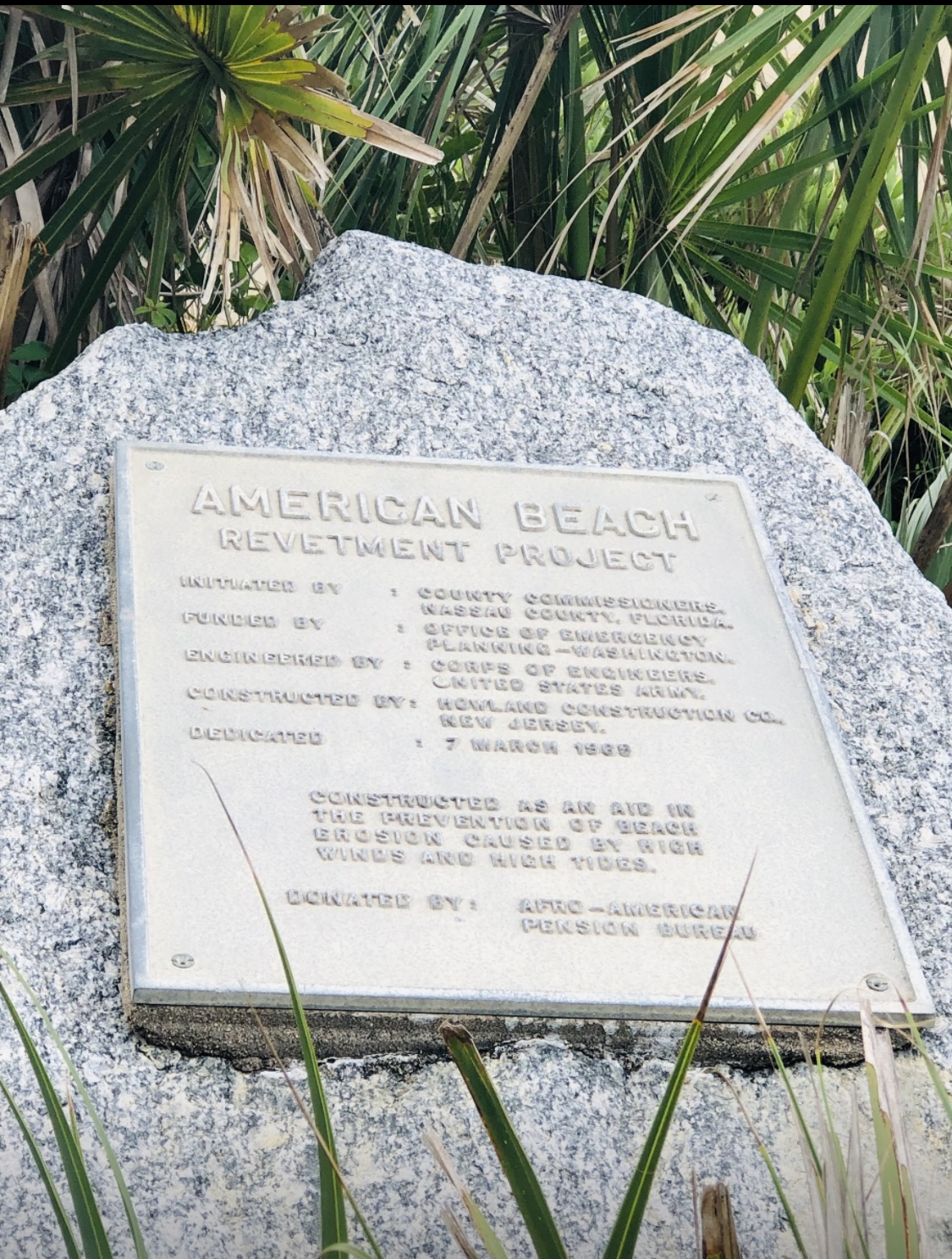 American Beach Nana Sand Dune Photo 3